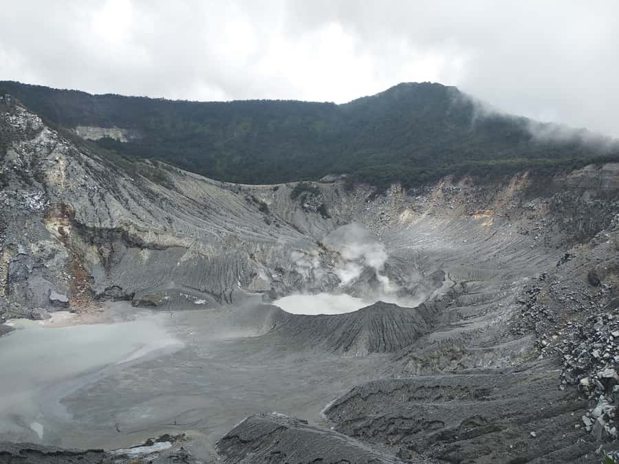 Jakarta: Volcano, Hot Spring, Tea, Rice Fields, &Coffee tour - Tangkuban Perahu and its sulfur crater