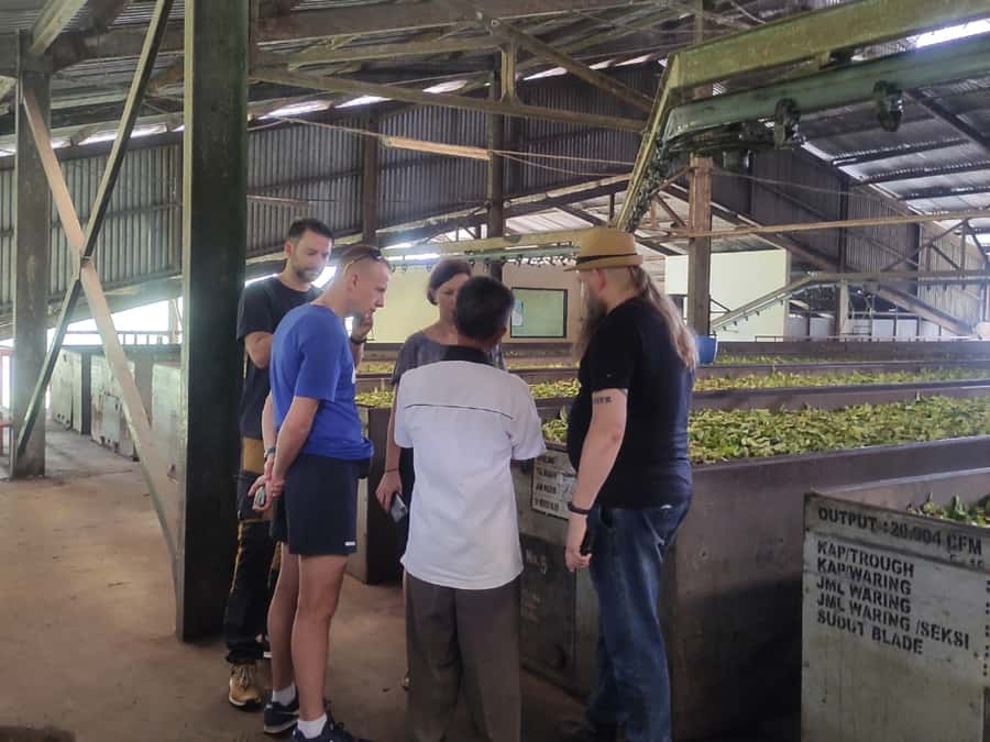 Jakarta: Volcano, Hot Spring, Tea, Rice Fields, &Coffee tour - Lunch in Lembang, with costs to watch