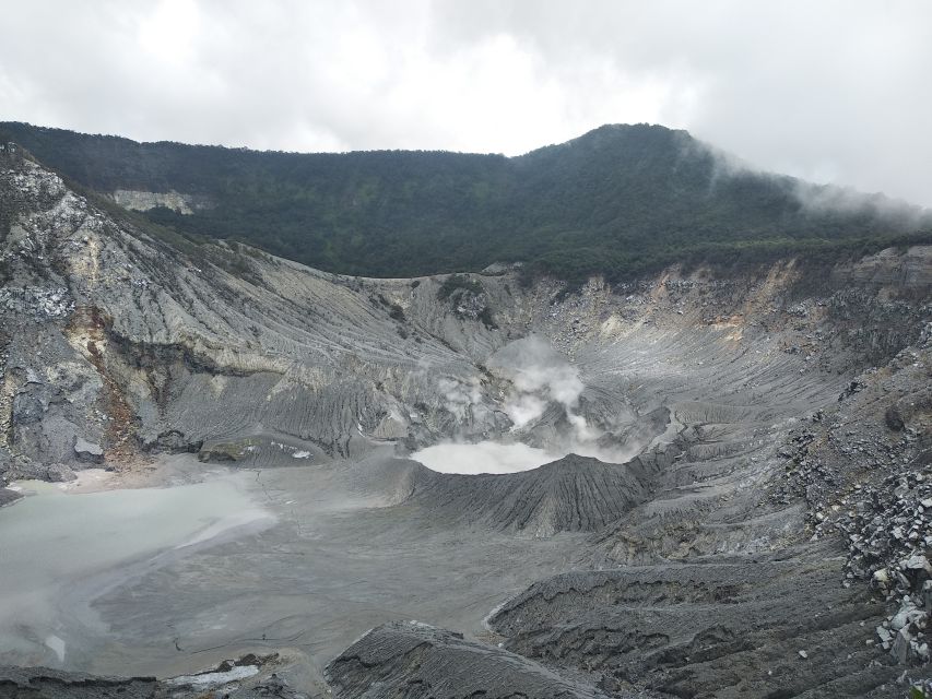 Jakarta: Volcano, Hot Spring, Tea, Rice Fields, &Coffee tour - Luwak coffee at Cikole