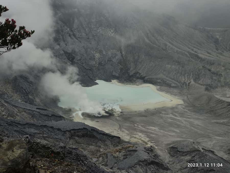 Jakarta: Volcano, Hot Spring, Tea, Rice Fields, &Coffee tour - Tea production at Kebun Teh Ciater