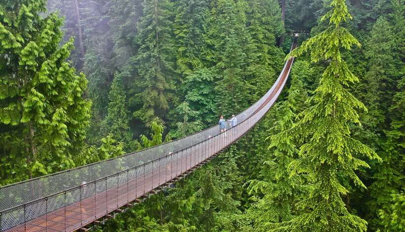 Jakarta: Volcano or Suspension Bridge,Ricefield & Hot Spring - Choosing between White Crater and Tangkuban Perahu