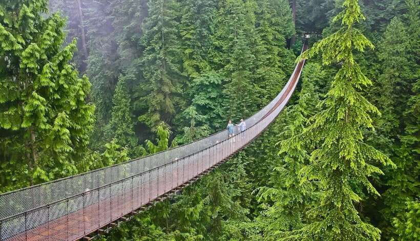 Jakarta: Volcano, Suspension Bridge, and Hot Spring Tour - Rengganis Ciwidey: bridge, springs, and tea country