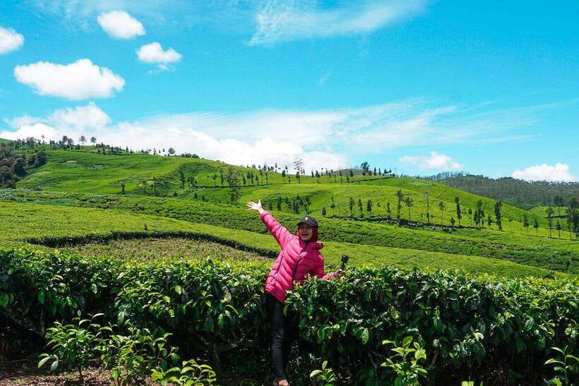 Jakarta: Volcano, Suspension Bridge, and Hot Spring Tour - The guide can make a long day feel easier