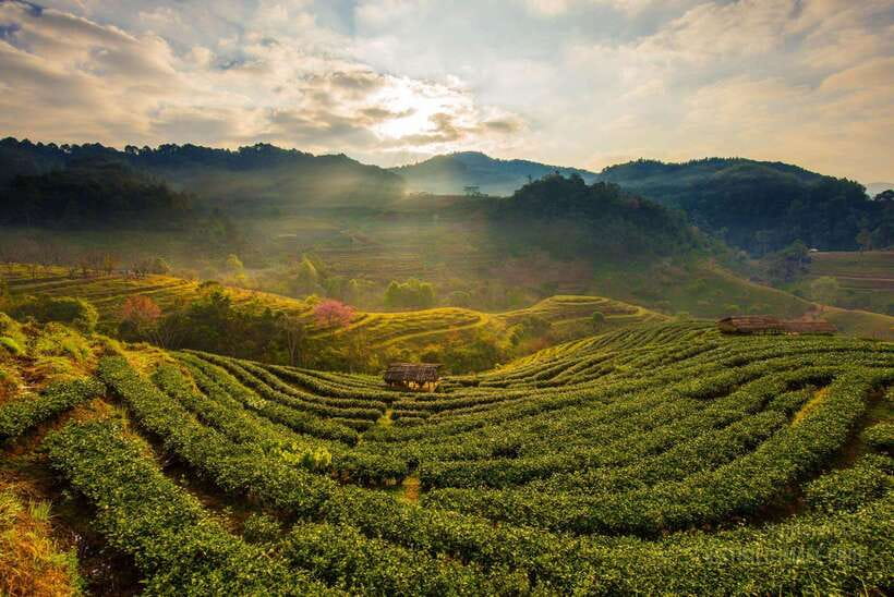 Jakarta: Volcano, Suspension Bridge, and Hot Spring Tour - Booking flexibility and what to pack