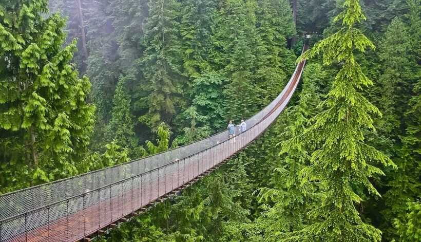 Jakarta: Volcano, Suspension Bridge, and Hot Spring Tour - Should you book the Kawah Putih and Rengganis tour?