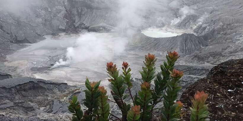Jakarta: Volcano, Tea/Rice Fields, Hot Spring, Local Food - Why this makes sense as a day trip from Jakarta