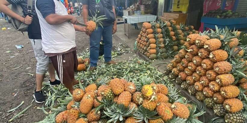 Jakarta: Volcano, Tea/Rice Fields, Hot Spring, Local Food - Lunch in Lembang and a taste of West Java