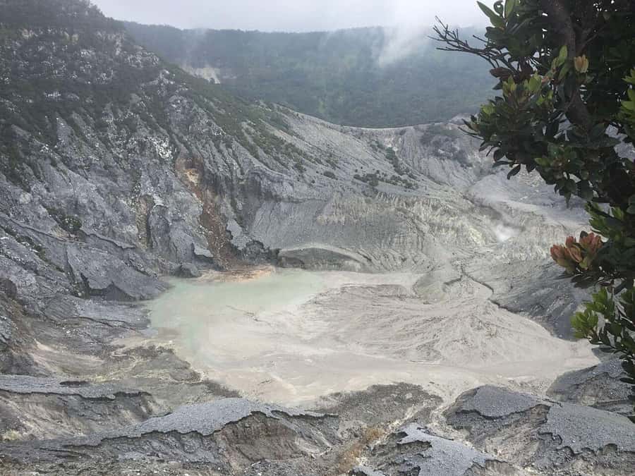 Jakarta: Waterfalls, Volcano, White Crater, Tea, Hot Spring - Key points before you book