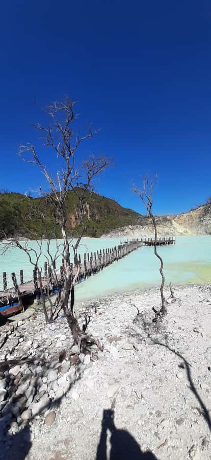 Jakarta: Waterfalls, Volcano, White Crater, Tea, Hot Spring - The volcano and White Crater option