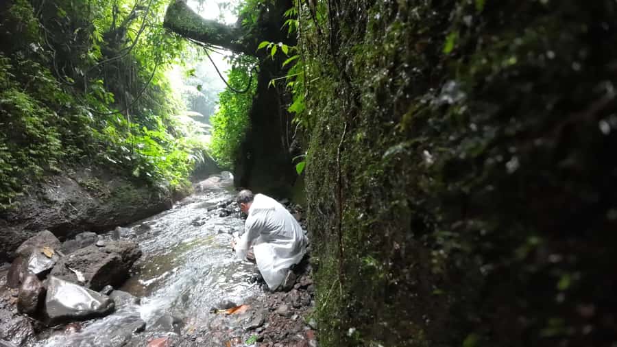 Jakarta: Waterfalls, Volcano, White Crater, Tea, Hot Spring - The guide and service