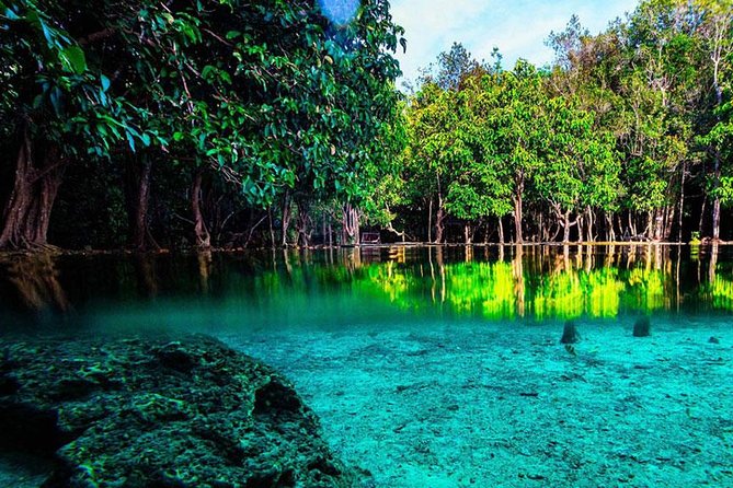 Jungle Tour to Emerald Pool, Krabi Hot Spring and Tiger Cave Temple - Namtok Ron hot spring: a gentle first stop