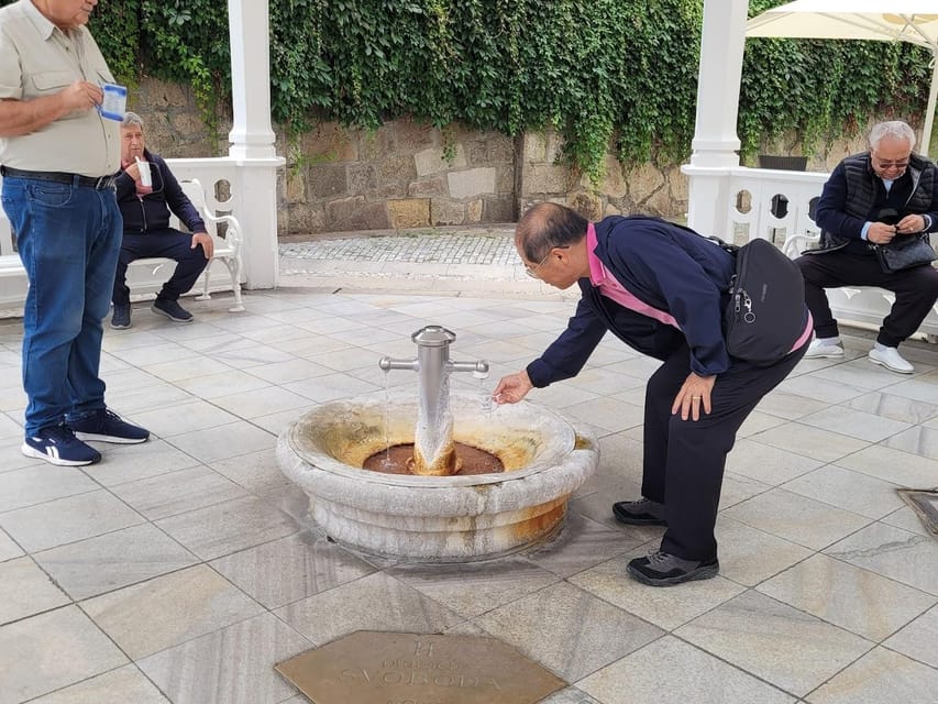 Karlovy Vary: Mineral Hot Springs Tasting and Walking Tour - Key points at a glance
