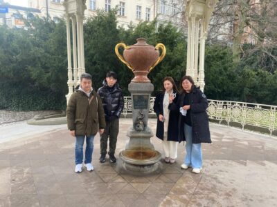 Karlovy Vary: Mineral Hot Springs Tasting and Walking Tour