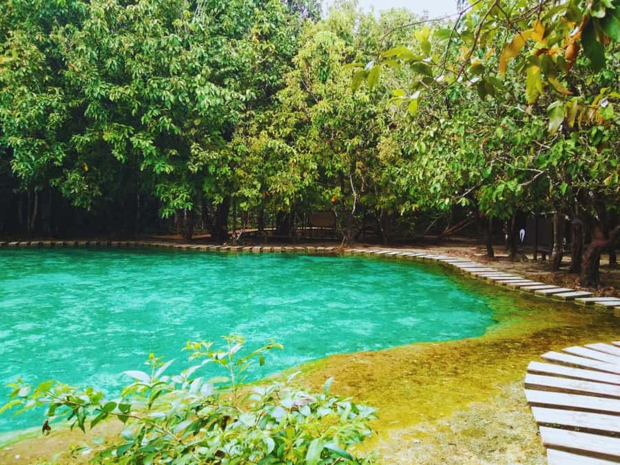 Ko Lanta: Full Day Emerald Pool&Hot Spring With Tiger Temple - A 7 AM start from Ko Lanta
