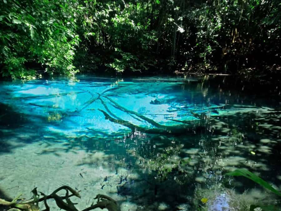Ko Lanta: Full Day Emerald Pool&Hot Spring With Tiger Temple - FAQ