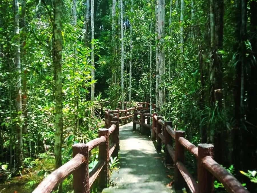 Ko Lanta: Full Day Emerald Pool&Hot Spring With Tiger Temple - Tiger Cave Temple and the 1,260-step test