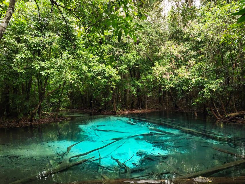 Ko Lanta: Full Day Emerald Pool&Hot Spring With Tiger Temple - Should you book it?