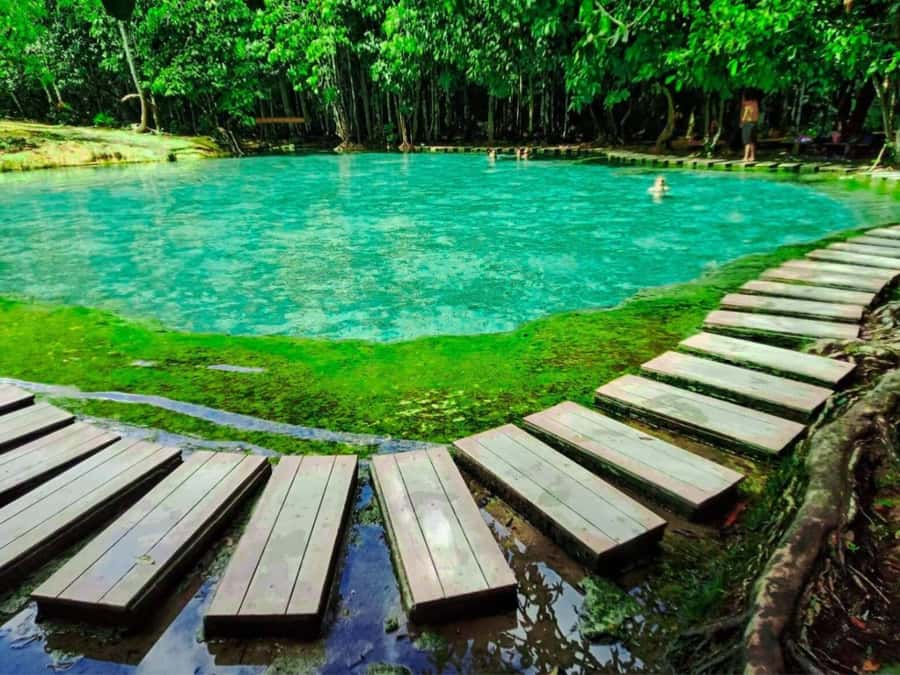 Ko Lanta: Full Day Emerald Pool&Hot Spring With Tiger Temple - Lunch gives the middle of the day a needed pause
