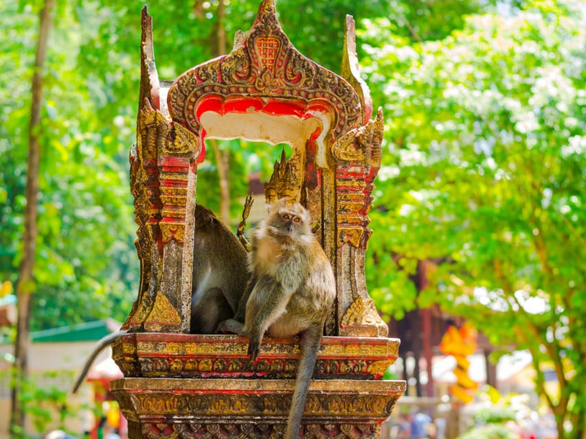 Ko Lanta: Private Tiger Cave, Hot Spring & Emerald Pool Tour - Walking 40 minutes through the forest to Emerald Pool