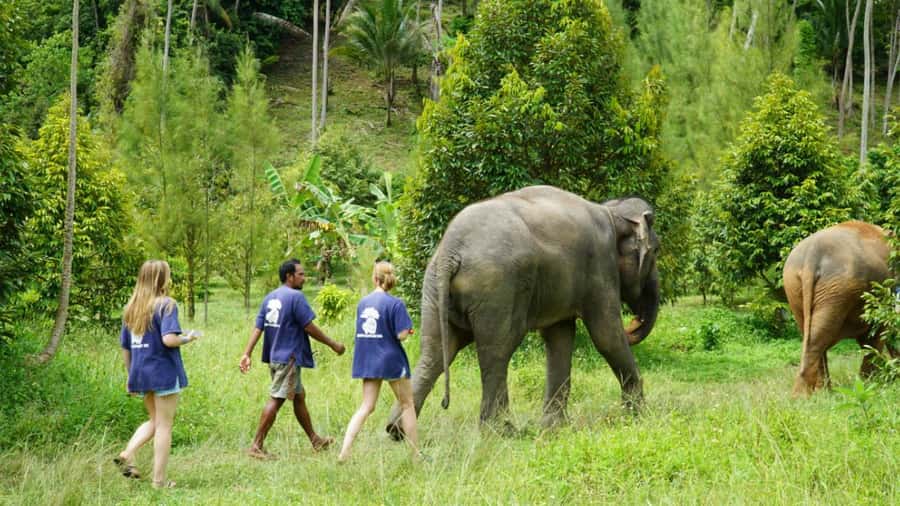Koh Samui: Half-Day Ethical Elephant Sanctuary with Mud Spa - What to bring for a comfortable visit
