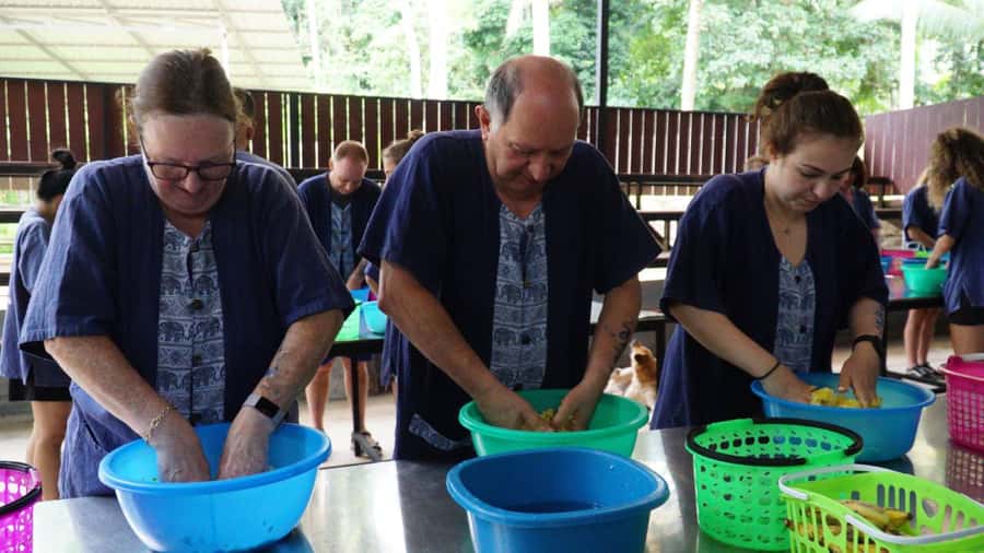 Koh Samui: Half-Day Ethical Elephant Sanctuary with Mud Spa - Walking through the jungle beside the elephants