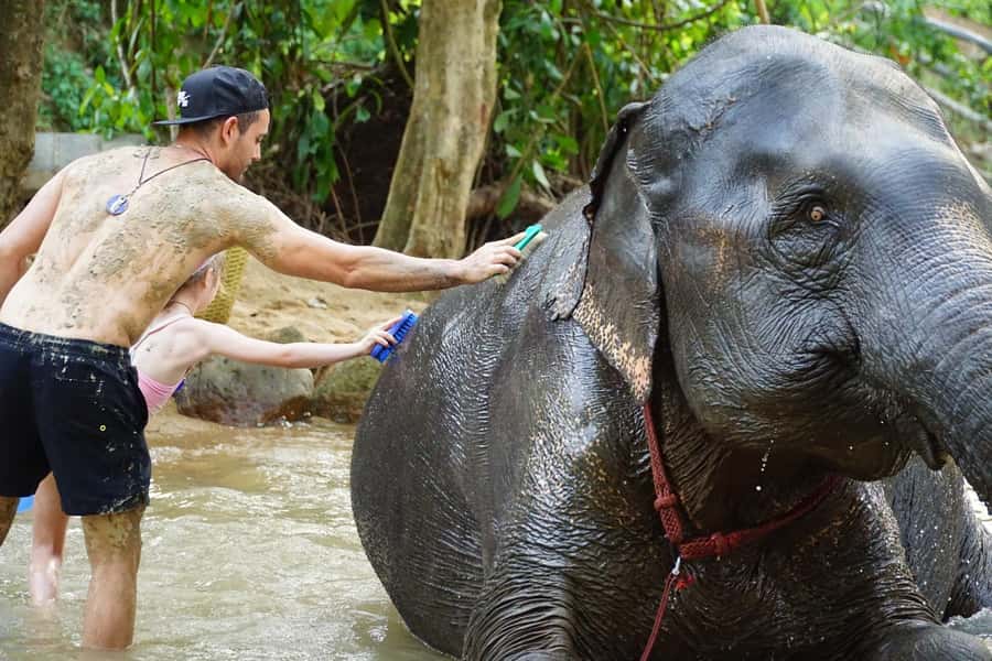Koh Samui: Half-Day Ethical Elephant Sanctuary with Mud Spa - The mud spa and river wash