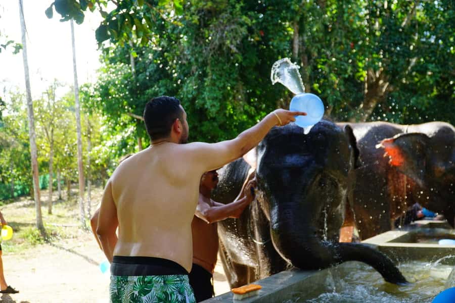 Koh Samui: Half-Day Ethical Elephant Sanctuary with Mud Spa - Thai noodle soup is a smart finish
