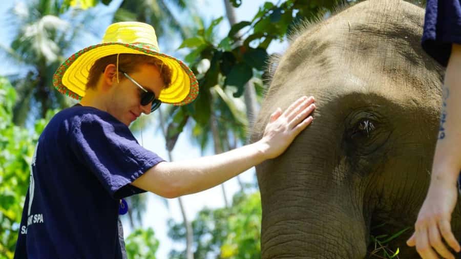 Koh Samui: Half-Day Ethical Elephant Sanctuary with Mud Spa - Preparing food and feeding seven elephants