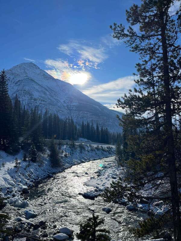 Kootenay: From Icy Mountain Rivers to Steamy Hot Springs - Who should choose this Kootenay day trip
