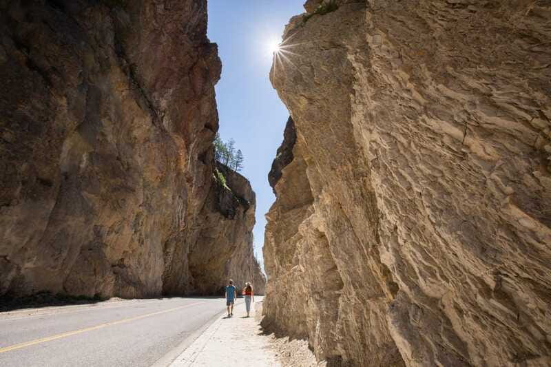 Kootenay: From Icy Mountain Rivers to Steamy Hot Springs - Booking details that affect your decision