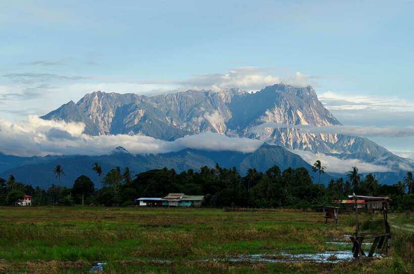 Kota Kinabalu: Private Kundasang and Poring Hot Spring Tour - Kinabalu Park and Its Botanical Garden