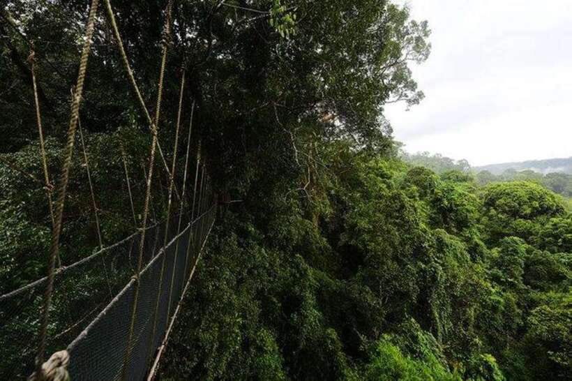 Kota Kinabalu: Private Kundasang and Poring Hot Spring Tour - Is $118 Per Person Good Value?
