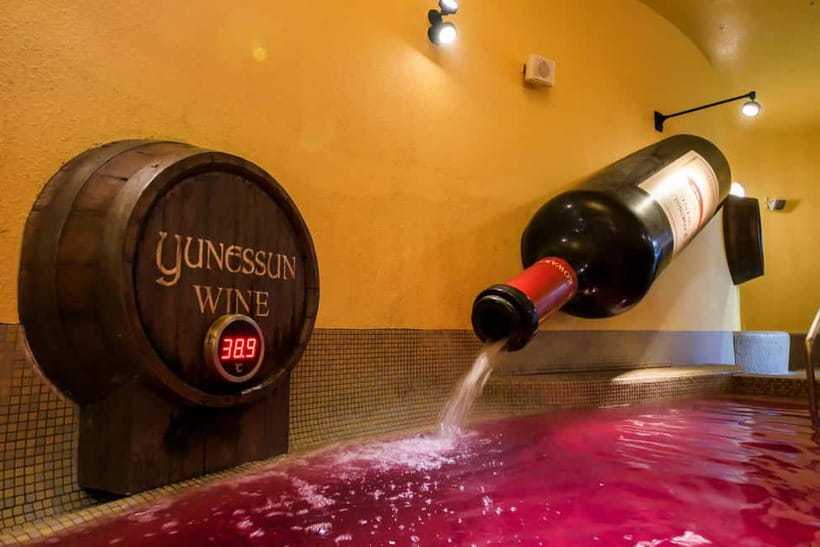Kowakien Yunessun Hot Springs Entry Ticket - The 40-meter outdoor bath and Hakone views