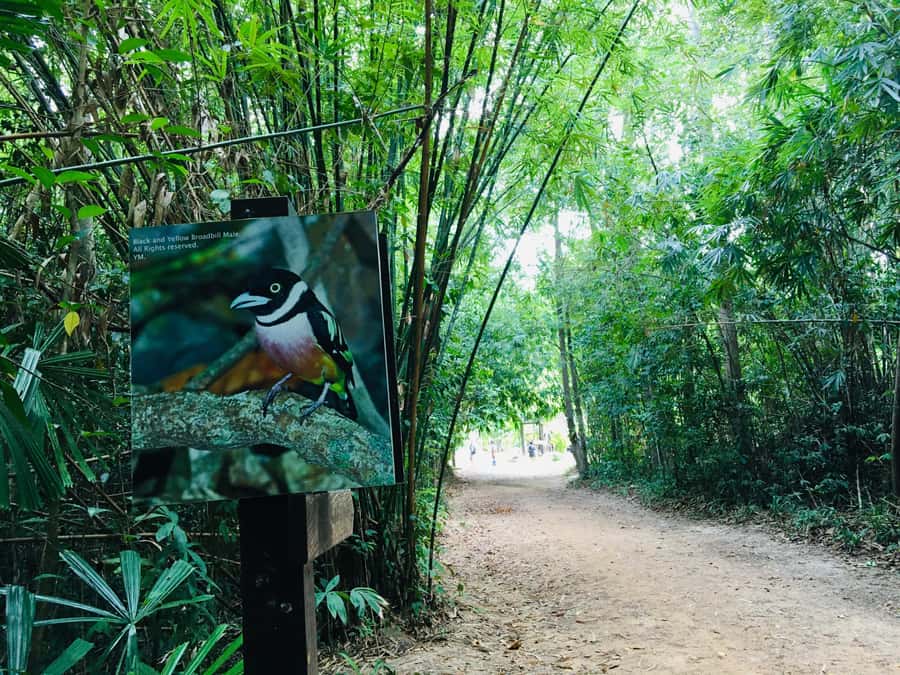 Krabi: Emerald Pool and Hot Spring Waterfall with ATV Riding - How to prepare for a better day