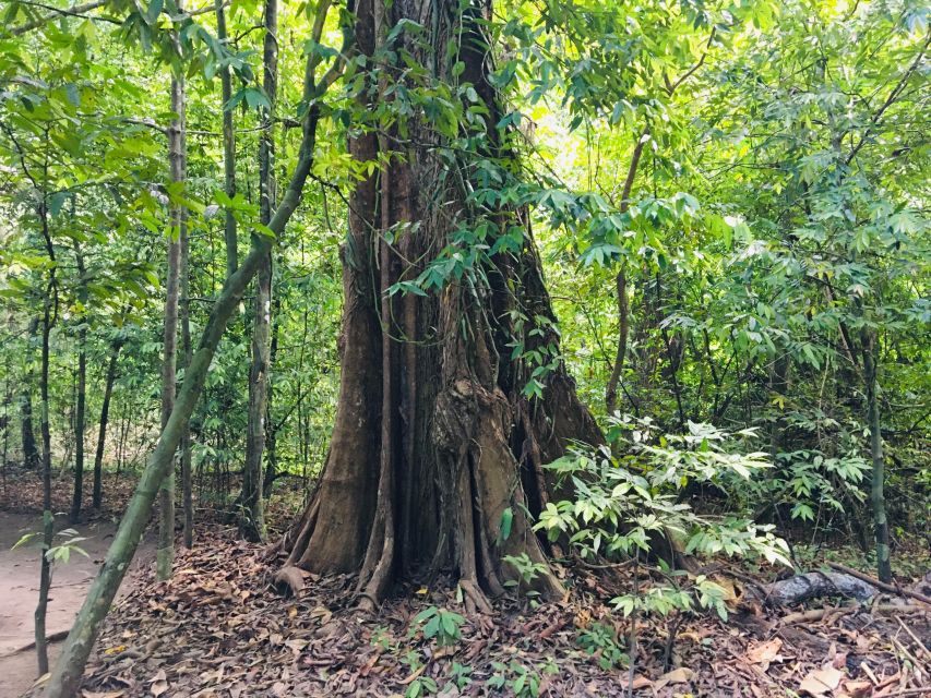 Krabi: Emerald Pool and Hot Springs Waterfall Half-Day Trip - How to make the day run better
