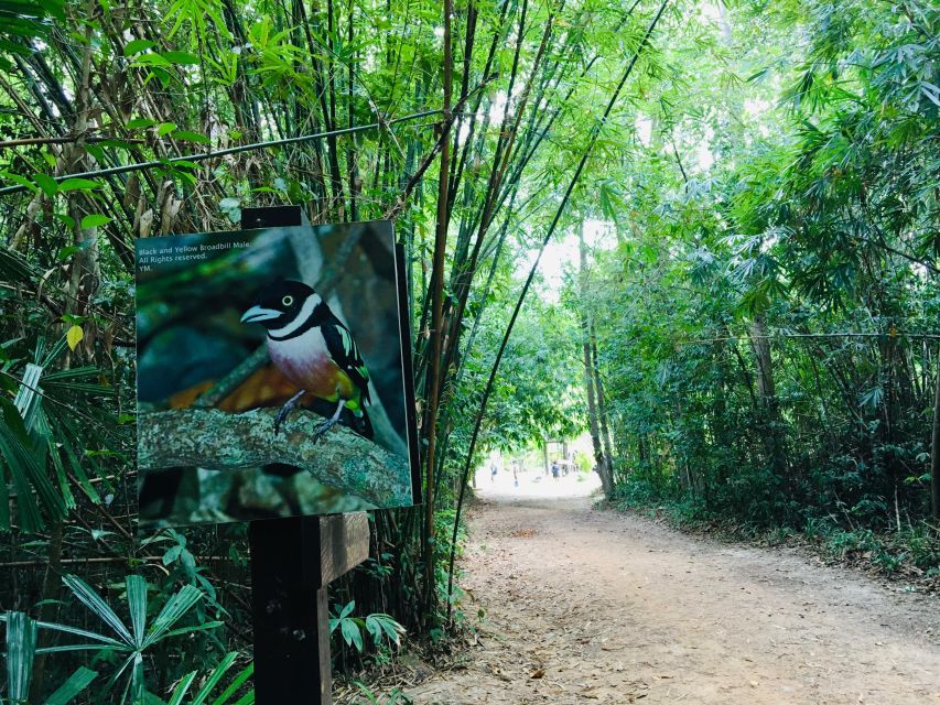 Krabi: Emerald Pool and Hot Springs Waterfall Half-Day Trip - Price, park fees, and overall value