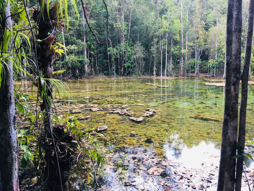 Krabi: Emerald Pool and Hot Springs Waterfall Half-Day Trip - Who will enjoy this half-day trip
