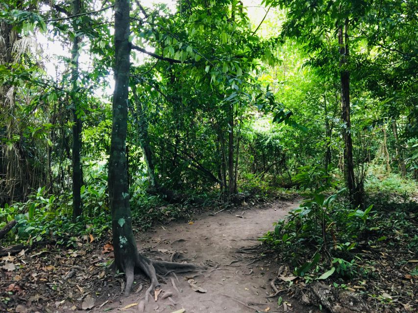 Krabi: Emerald Pool and Hot Springs Waterfall Half-Day Trip - The hot spring waterfall stop