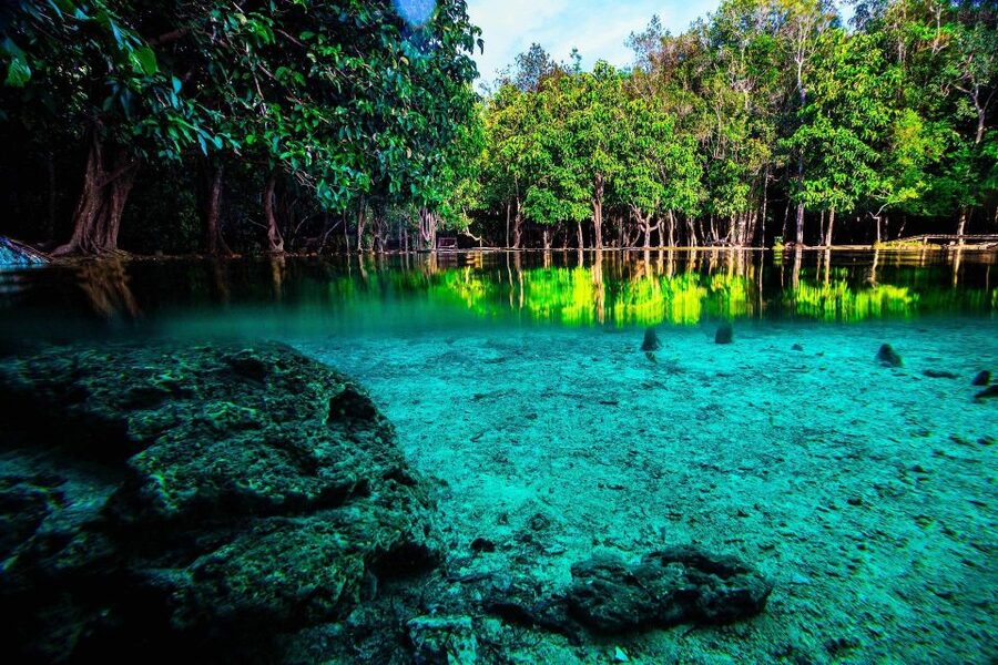 Krabi: Emerald Pool & Hot Spring Waterfall with Kayaking - Emerald Pool brings the color first