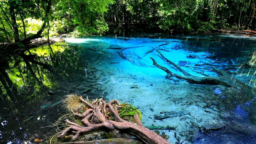 Krabi: Emerald Pool & Hot Spring Waterfall with Kayaking - Ao Thalane shows Krabi from a kayak