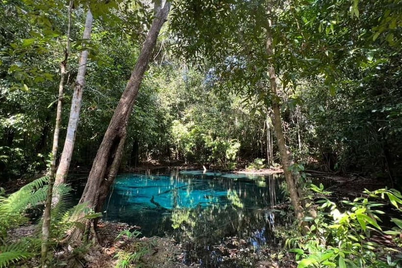 Krabi: Emerald Pool, Hot Springs, and Kayaking Tour - A simple Thai buffet at midday