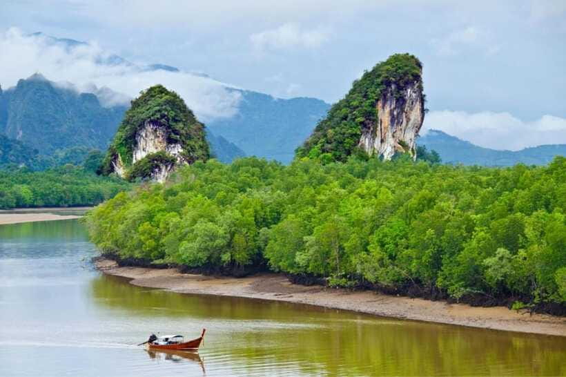 Krabi: Emerald Pool, Hot Springs & Krabi Town Day Tour - What the $55 price really covers