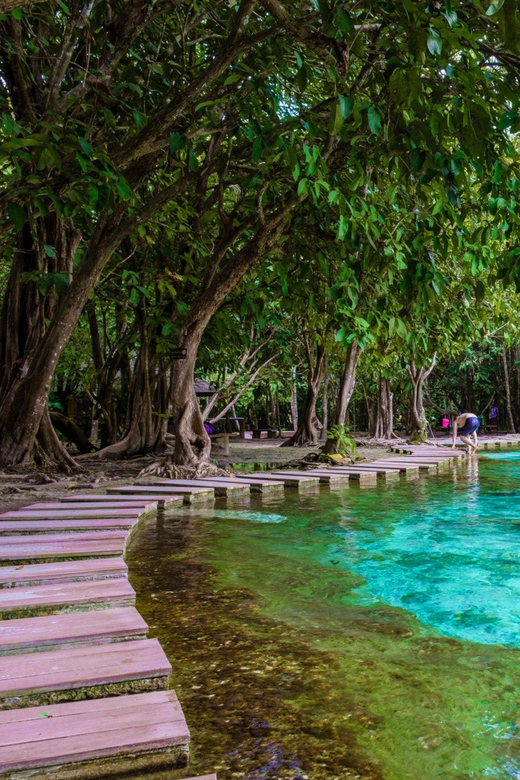 Krabi: Kayaking, Crystal Lagoon, and Fish Spa in Klong Root - Fish feeding and the small fish spa