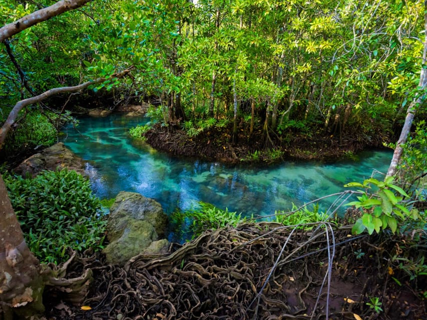 Krabi: Kayaking, Crystal Lagoon, and Fish Spa in Klong Root - The final tour is best for sunset