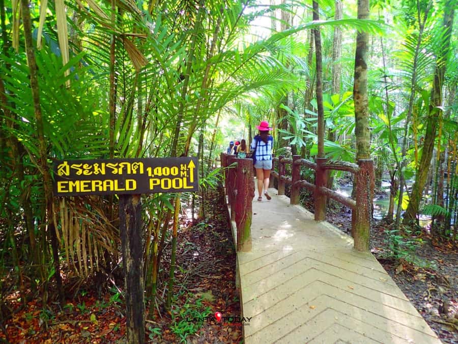 Krabi: Klongtom Hot Spring, Emerald Pool and Tiger Cave Tour - Emerald Pool: the day’s clearest reward