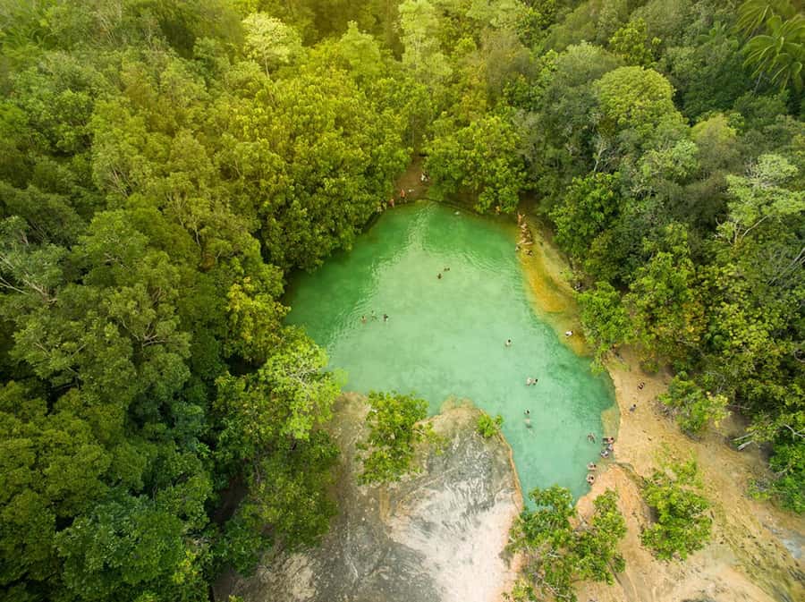 Krabi: Klongtom Hot Spring, Emerald Pool and Tiger Cave Tour - Klongtom Hot Springs: warm water in the forest