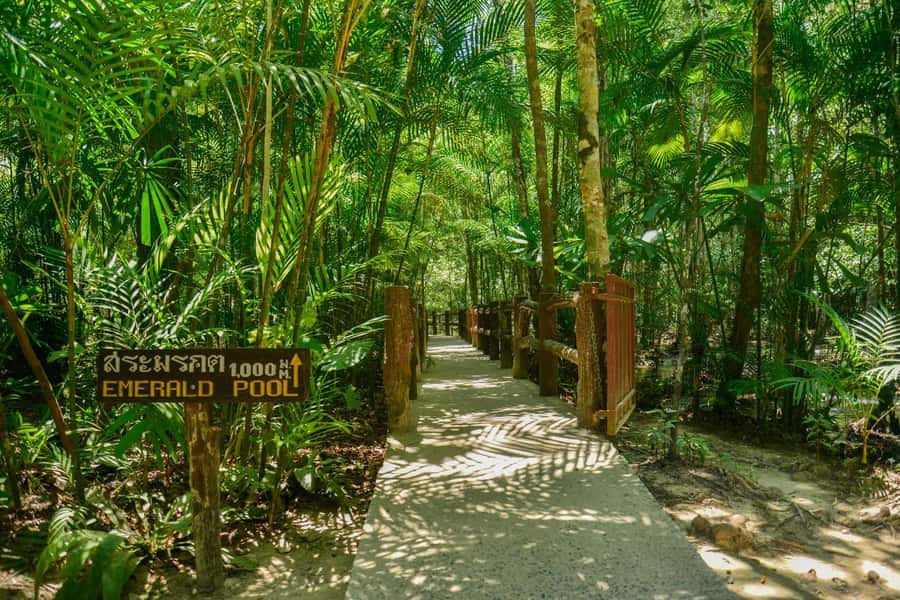 Krabi Private Escape: Emerald Pool, Hot Springs & Tiger Cave - Should you book it?