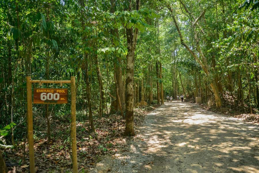Krabi Private Escape: Emerald Pool, Hot Springs & Tiger Cave - Food, clothing, and physical preparation
