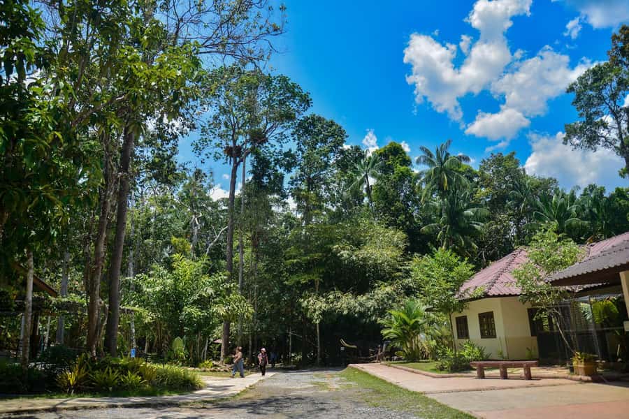 Krabi Private Escape: Emerald Pool, Hot Springs & Tiger Cave - Who should book this private escape?