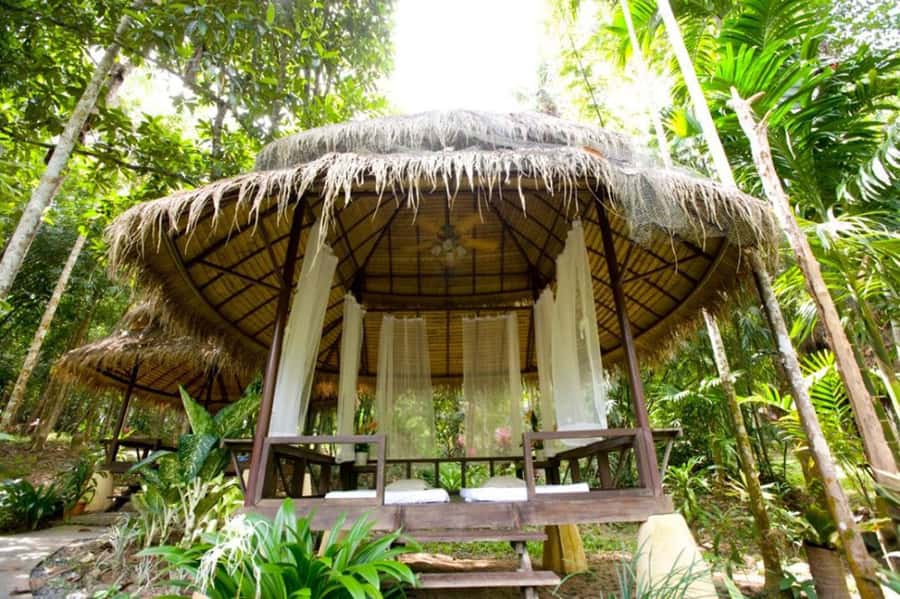 Krabi: Private Full-Day Hot Spring Spa Package - Lunch, fruit, and herbal drinks